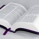 Entrepreneurship In The Bible