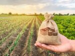 Farming As A Business Motimagz Magazine
